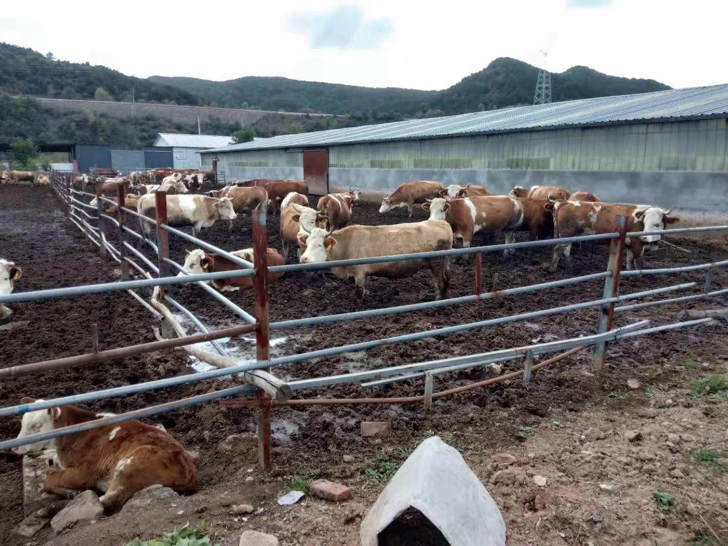 尊龙凯时人生就是搏·(中国区)官方网站