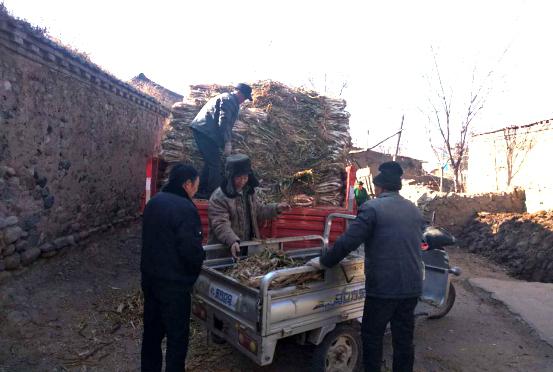 购置“大葱”温暖贫困户山西建投六建集团帮扶献爱心