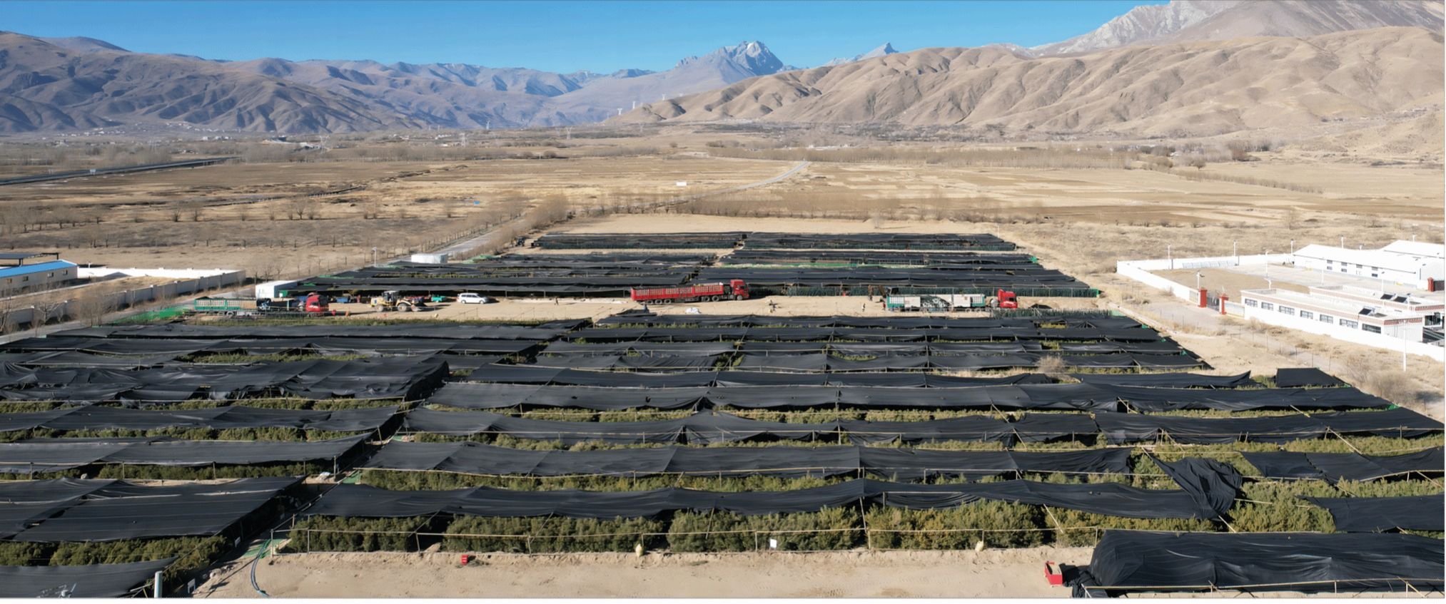 尊龙凯时人生就是搏·(中国区)官方网站