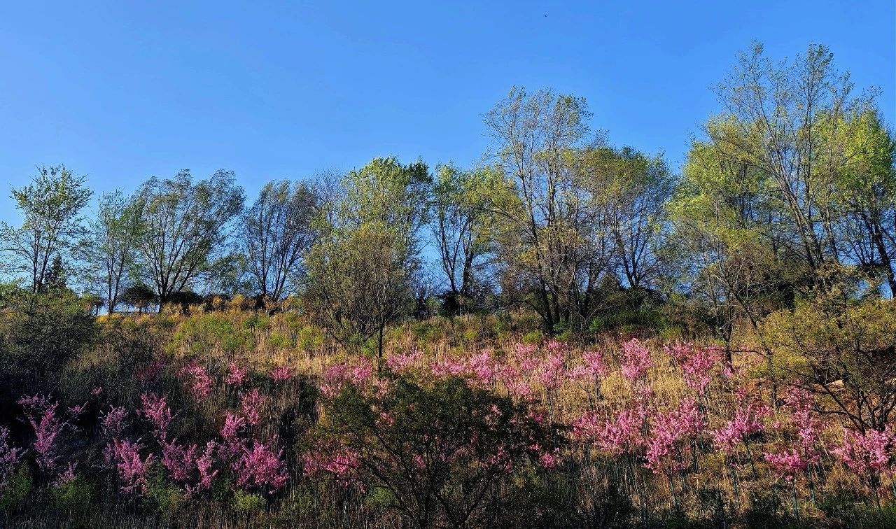 尊龙凯时人生就是搏·(中国区)官方网站