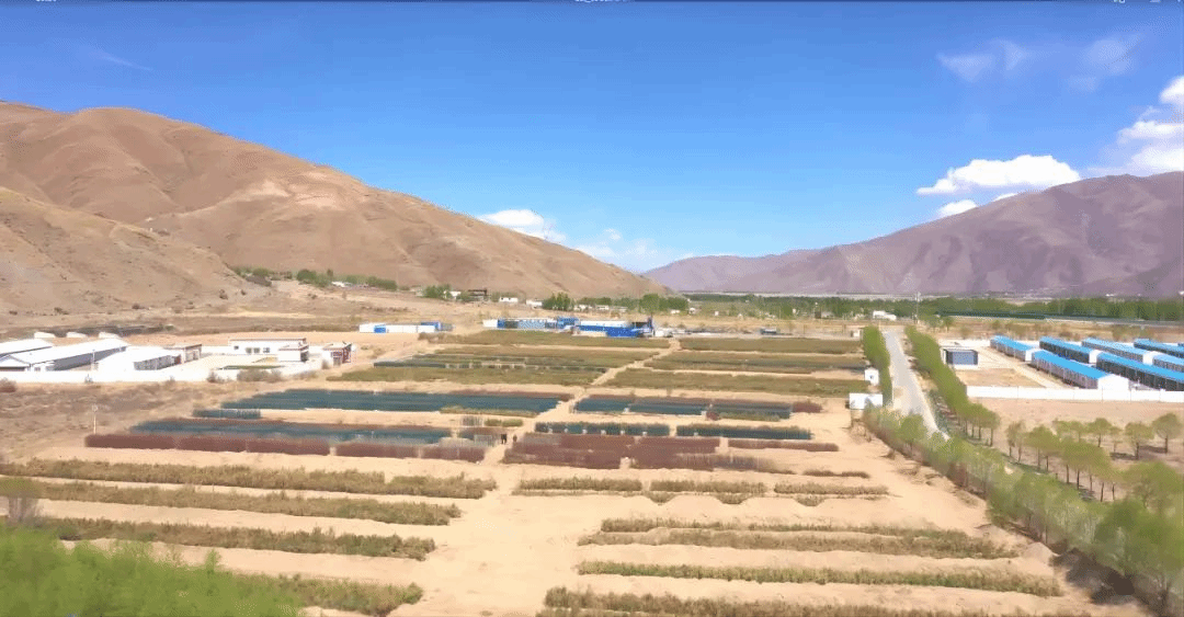 尊龙凯时人生就是搏·(中国区)官方网站