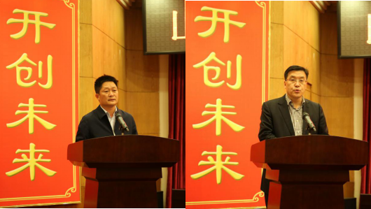 形成“拳头”聚协力 “整体出海”再扬帆